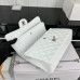 Chanel Classic Flap Medium Size 25.5cm Caviar Leather Silver Hardware Shoulder Bag Handbag Purse A1112