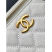 Chanel 25B Cosmetic Bag Purse Handbag AP3940 Chanel 25B Cosmetic Bag Purse Handbag AP3940