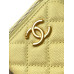 Chanel 25B Cosmetic Bag Purse Handbag AP3941 Chanel 25B Cosmetic Bag Purse Handbag AP3941
