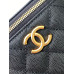 Chanel 25B Cosmetic Bag Purse Handbag AP3941