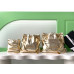 Chanel 25C Mini Hobo Shoulder Bag AS3980 Chanel 25C Mini Hobo Shoulder Bag AS3980