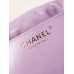 Chanel 22 Bag mini size Hobo Shoulder Bag AS3980