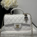 Chanel small Classic Flap with Handle Lambskin White Gold Hardware Top Handle Shoulder Bag AS2431 Chanel small Classic Flap with Handle Lambskin White Gold Hardware Top Handle Shoulder Bag AS2431