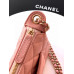 Chanel 25B Shoulder Bag Handbag Purse 4704