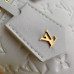Louis Vuitton LV Vanity Chain Pouch M25219 Cosmetic Bag Purse Handbag LLBGP15