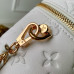 Louis Vuitton LV Vanity Chain Pouch M25219 Cosmetic Bag Purse Handbag LLBGP15