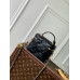 Louis Vuitton LV Vanity Chain Pouch M25123 Cosmetic Bag Purse Handbag LLBGP16 Louis Vuitton LV Vanity Chain Pouch M25123 Cosmetic Bag Purse Handbag LLBGP16
